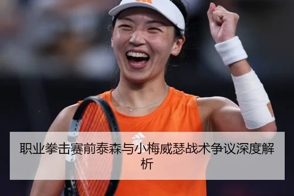职业拳击赛前泰森与小梅威瑟战术争议深度解析